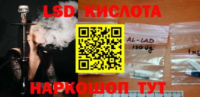 тгк Краснодар