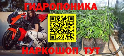 индика Краснокаменск