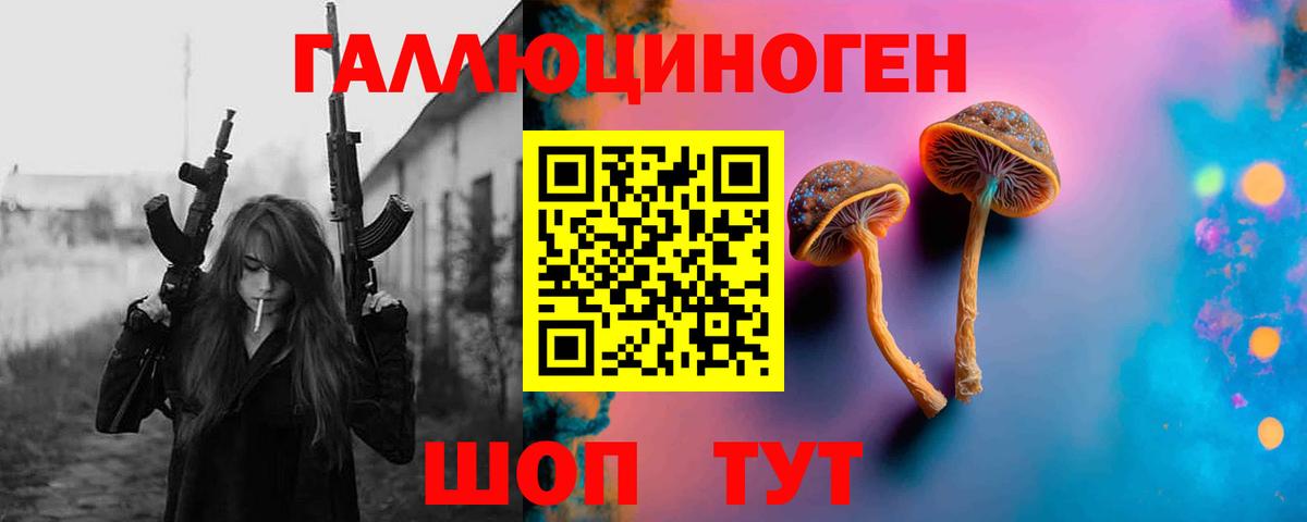 Галлюциногенные грибы Magic Shrooms  Вход с VPN  Калининград  Галлюциногенные грибы прущие грибы 